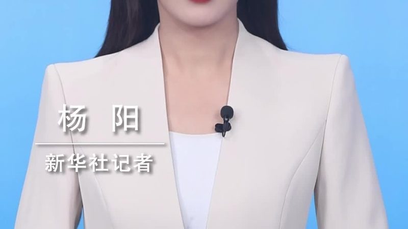 成都软件测试公司招聘要求揭秘：技能与素质双重要
