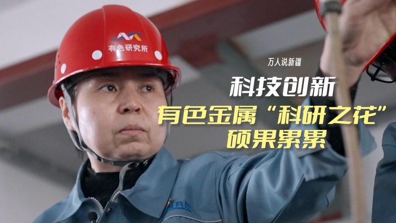 小分子医药研发外包：揭秘高效流程与关键要素**